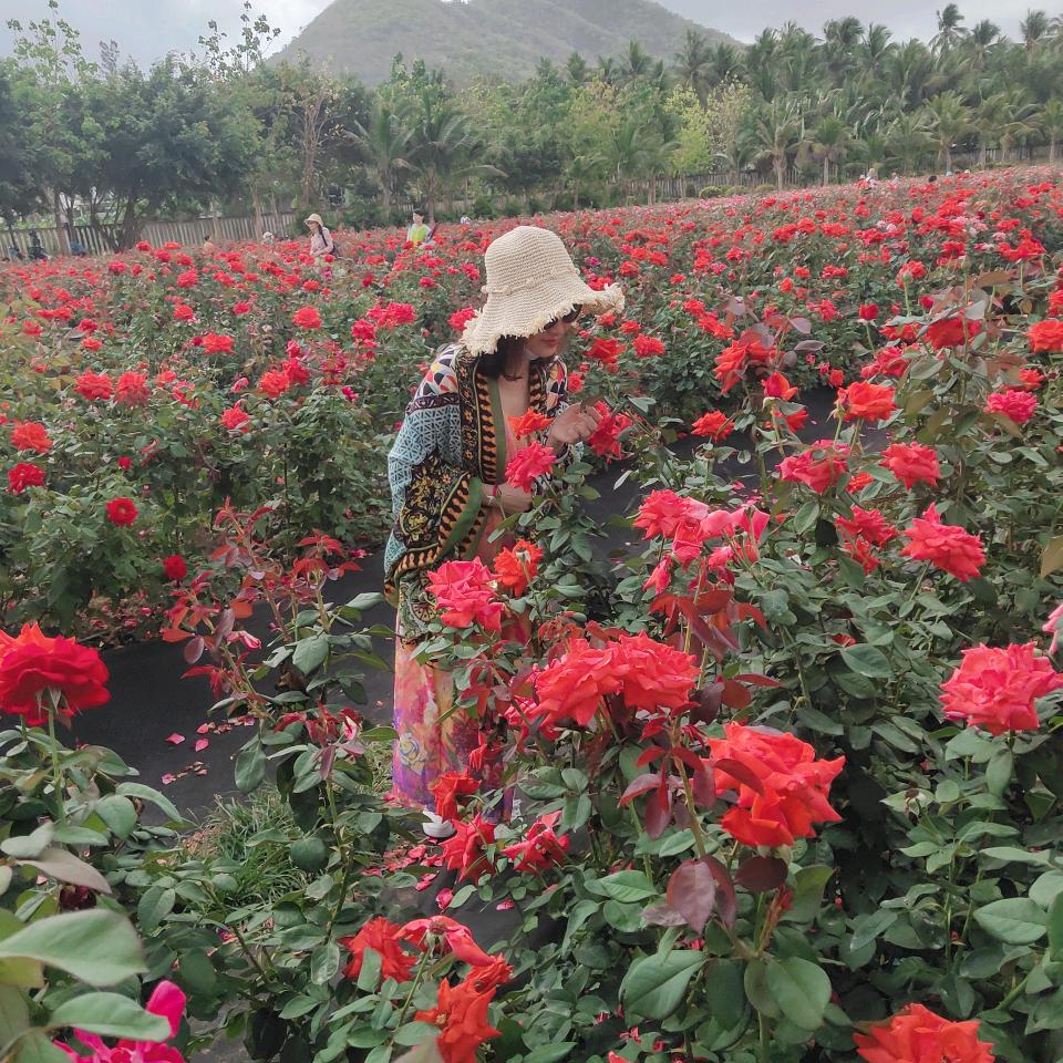 晴曦如梦💫💞