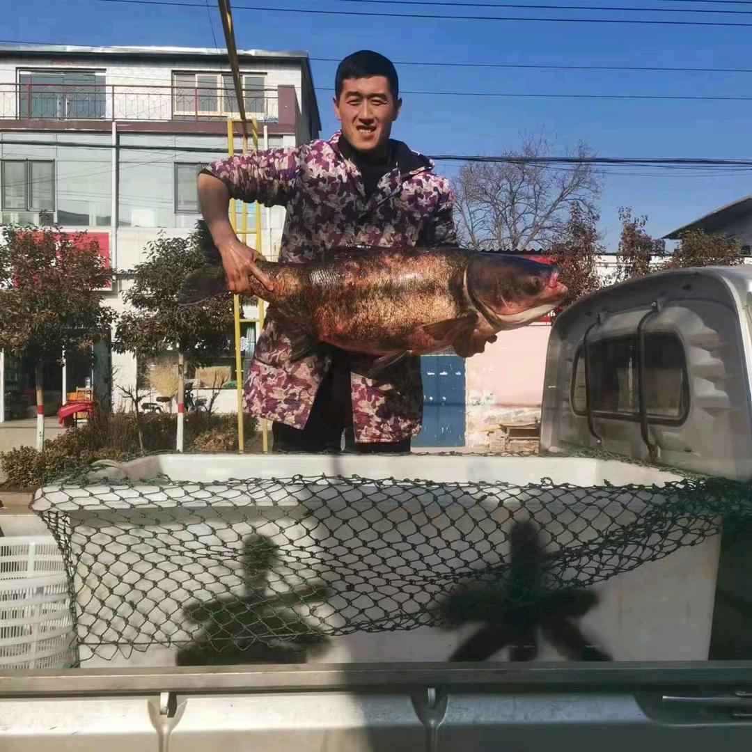 原生态土货
