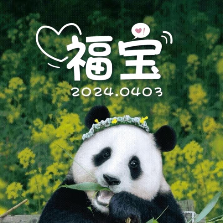 @丫头