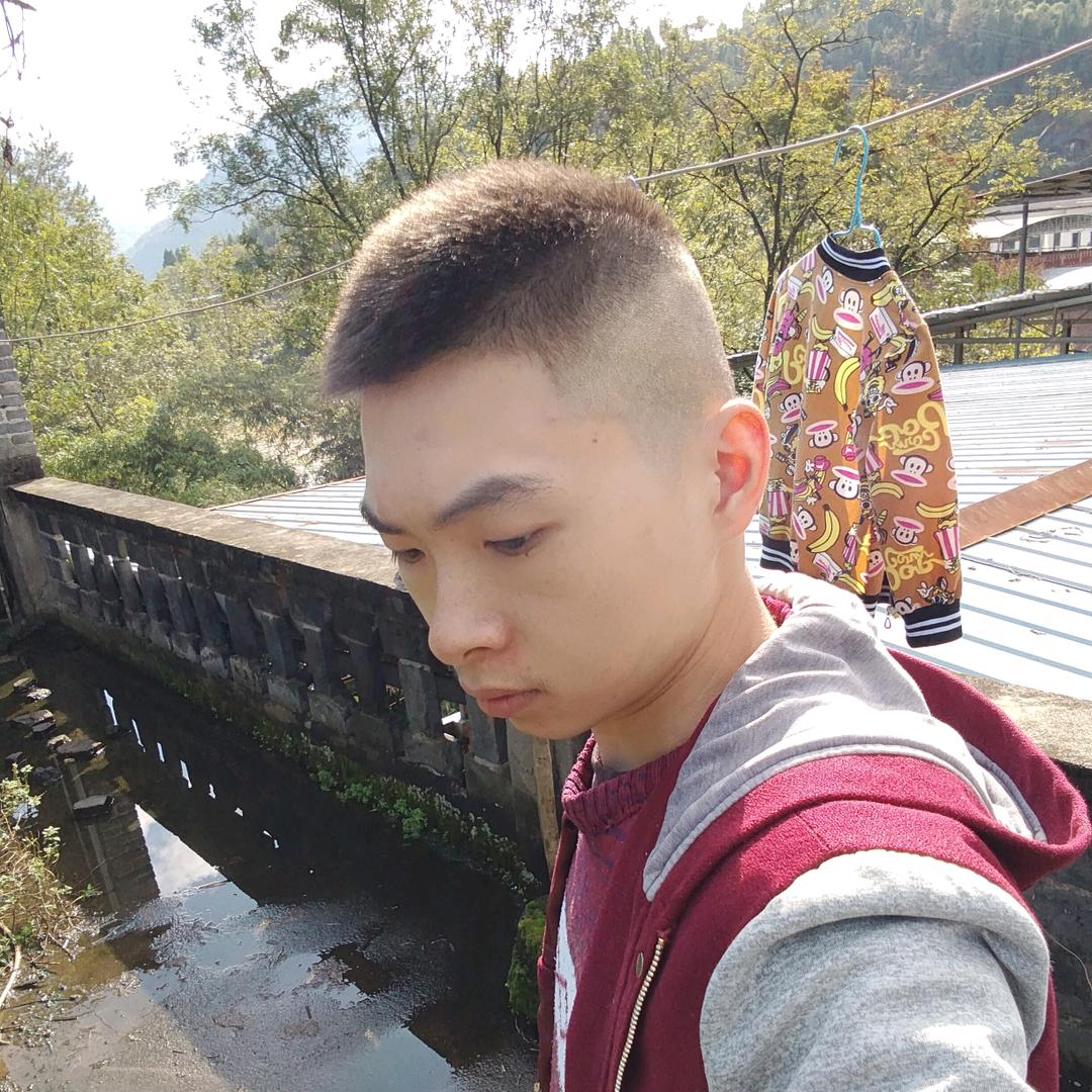 【小杨哥哥】