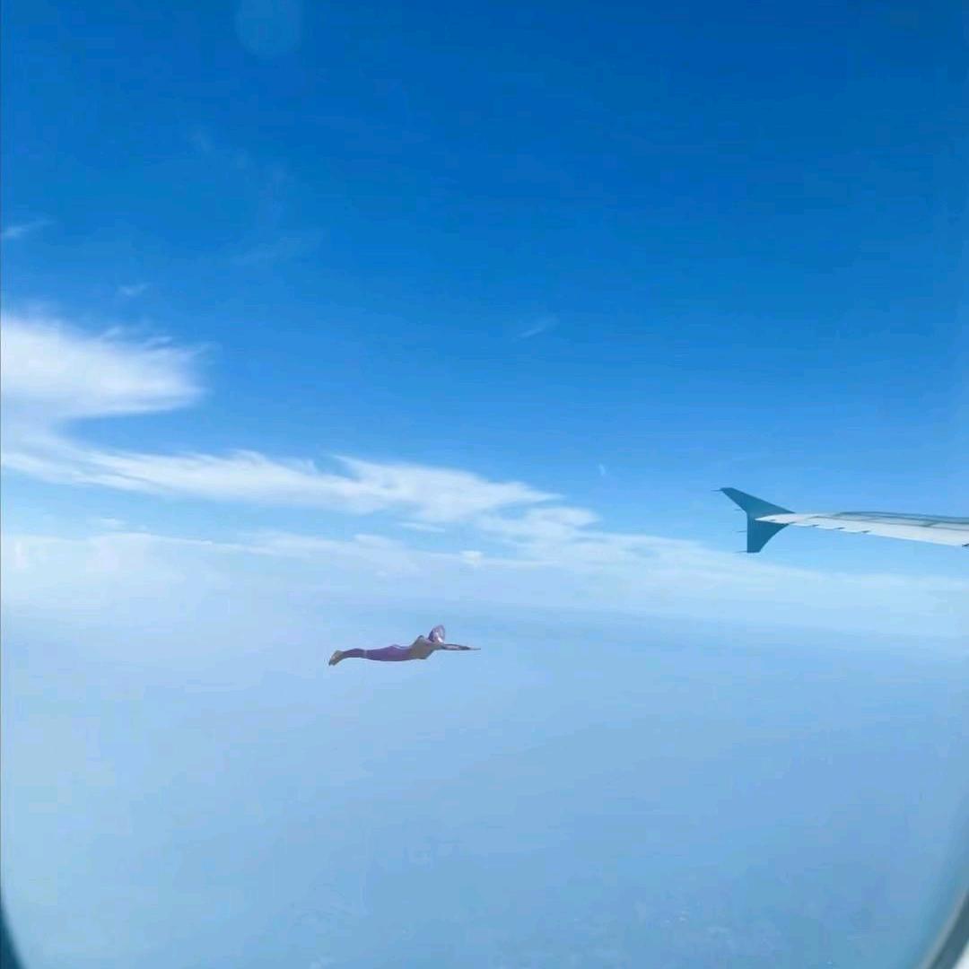 福气大满贯ഒᩚ࿐