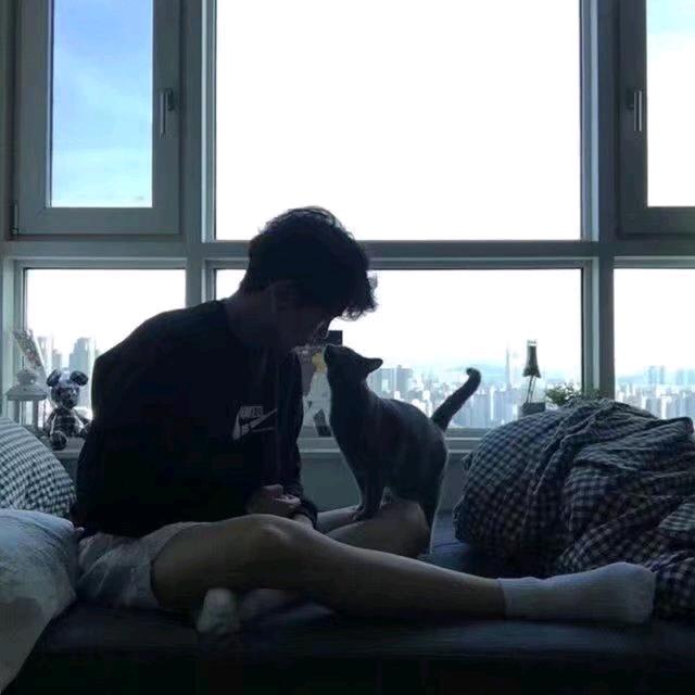风一样的