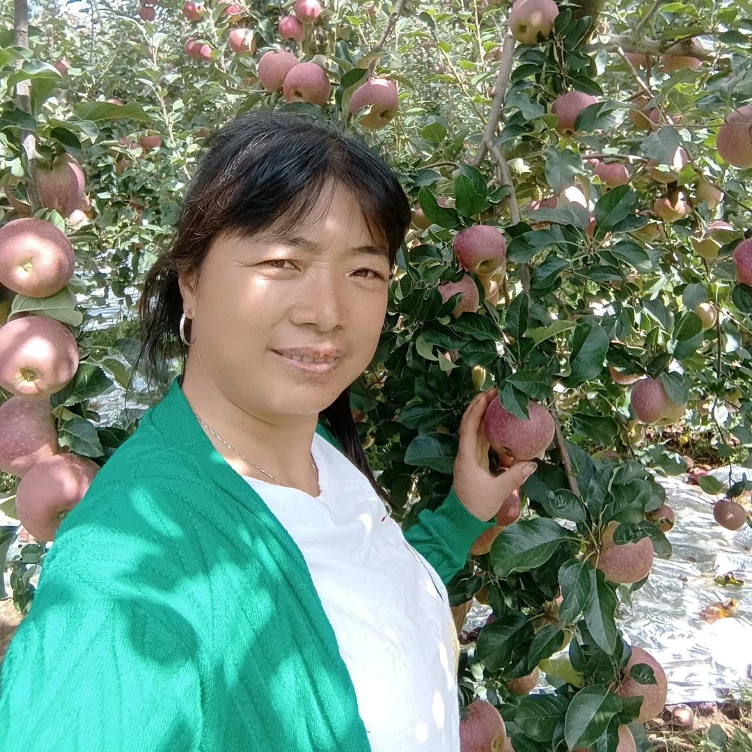 平平淡淡的玉琳