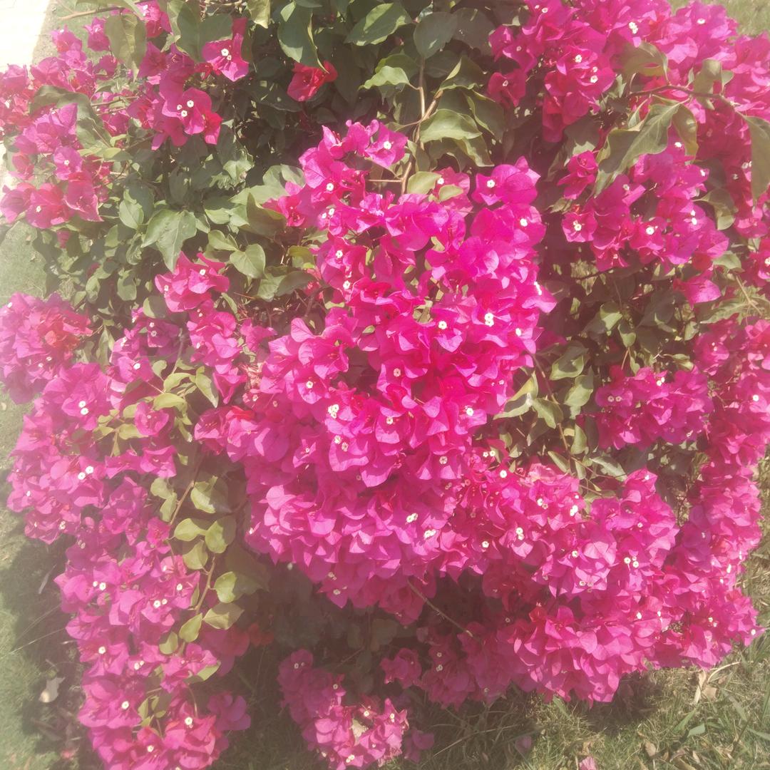 👌🌈晓晓🍭💋