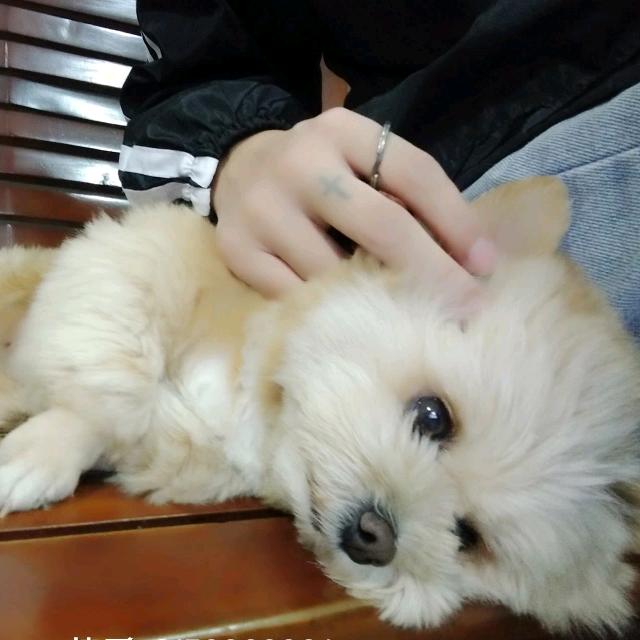 难在