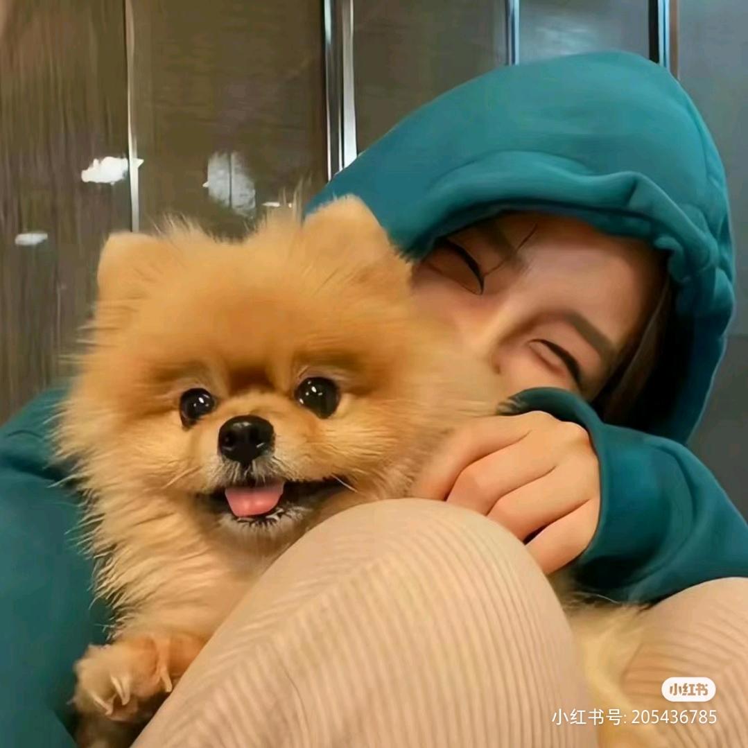 多肉(。ò ∀ ó。)