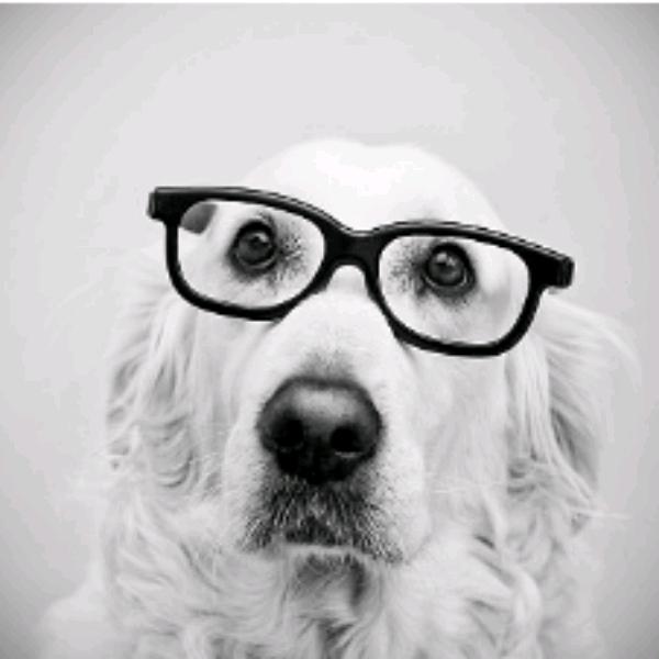 大兵甄选洗地机