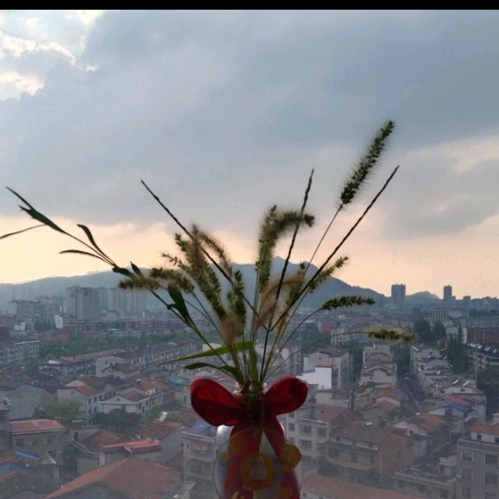 沈维超