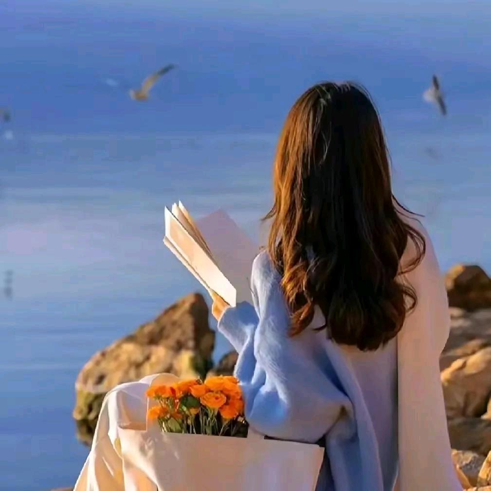 花儿（川渝豆干）