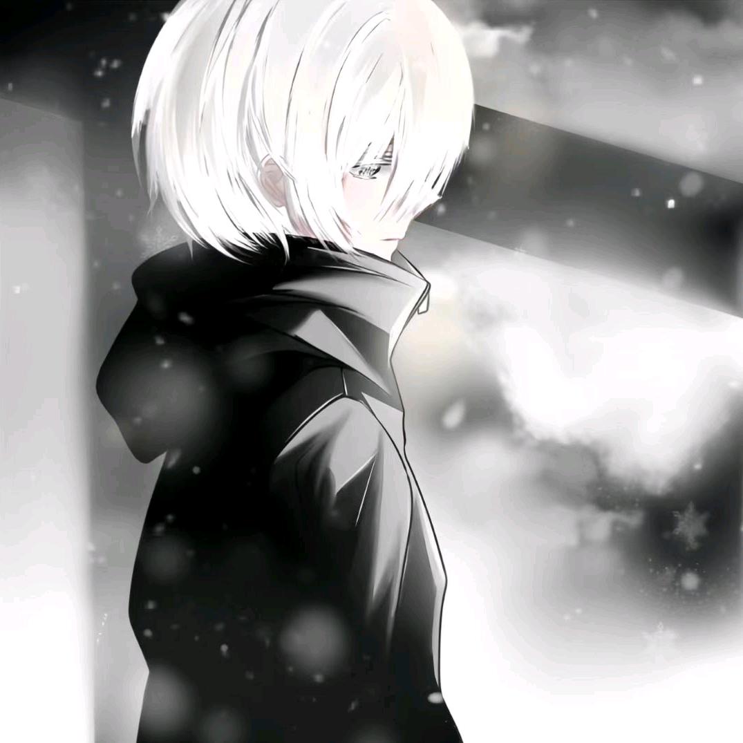 y星星有泪h