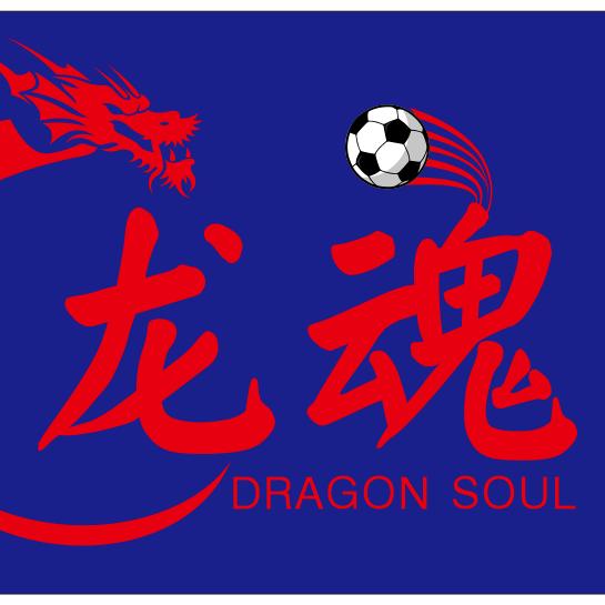 重庆龙魂球迷会