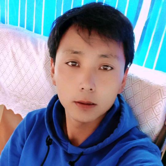巴布多