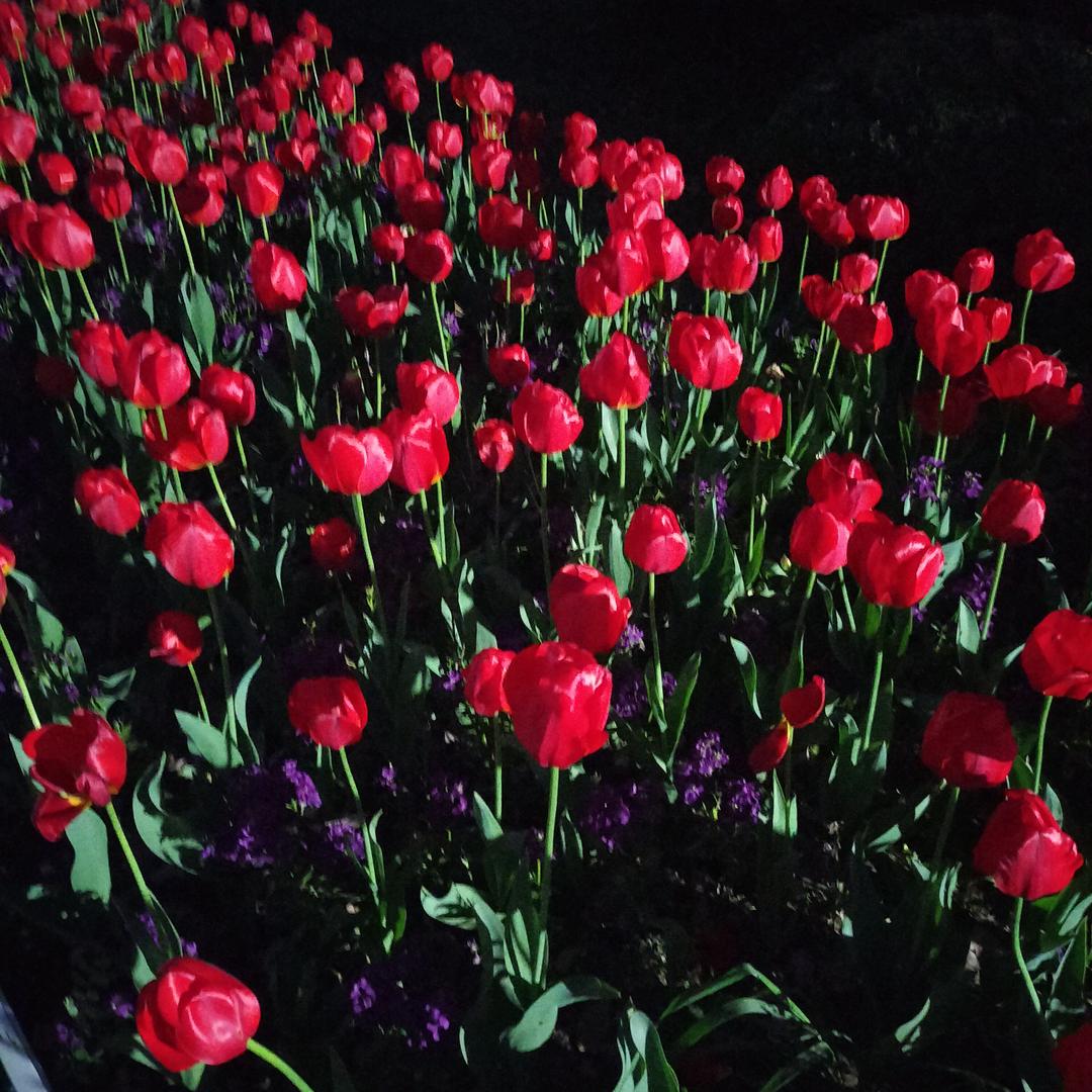 工控自动化回收