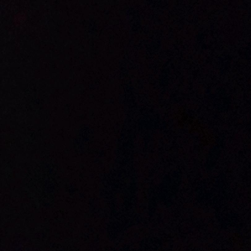 端木牛