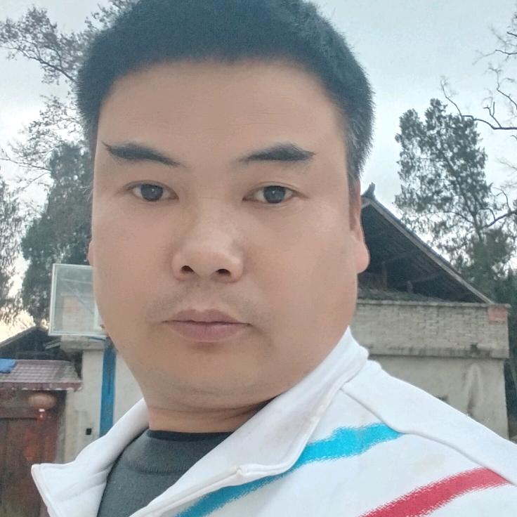 大雪压清松