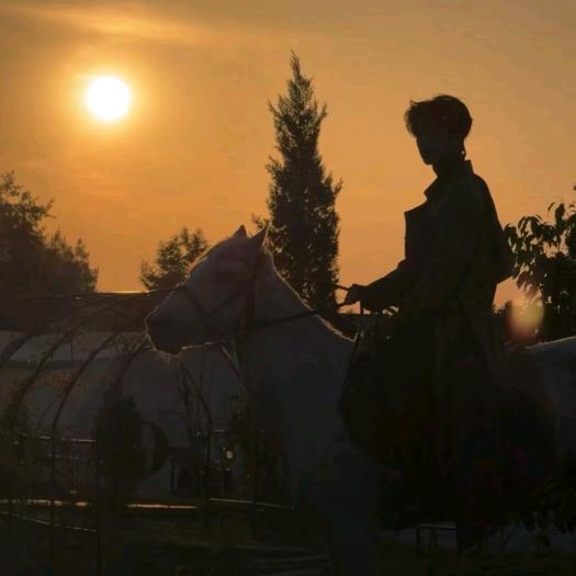 🐙不想变成小丸子