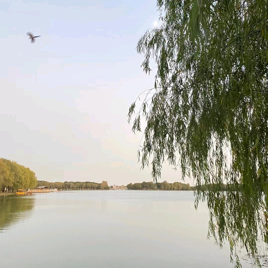 ✺◟(∗❛ัᴗ❛ั∗)◞✺