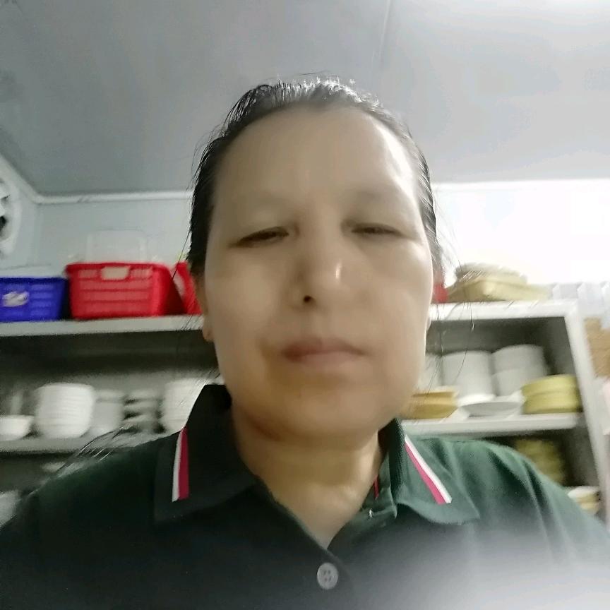 恋菊