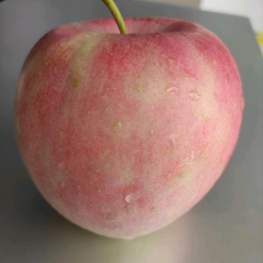 鸡鸭鹅满天飞