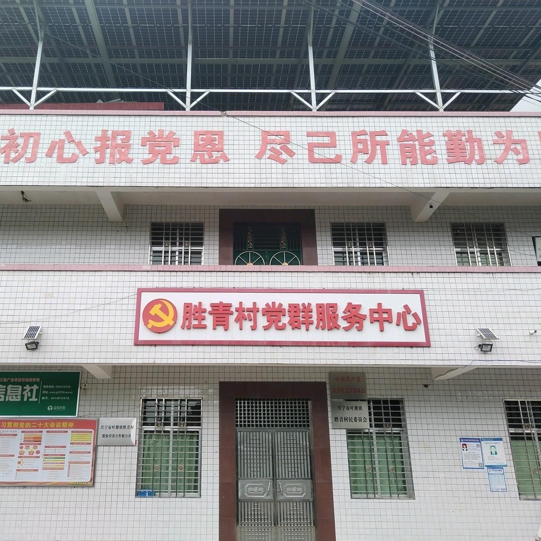 胜青村90后村书记