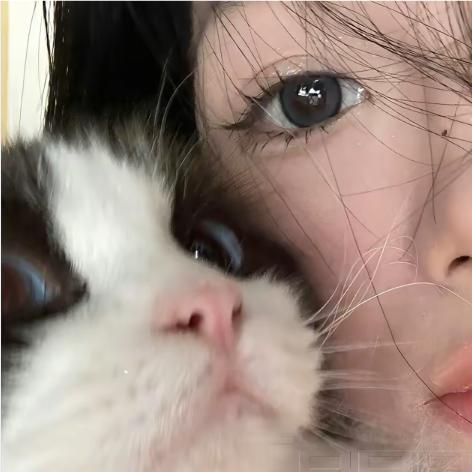 呼呼🐳