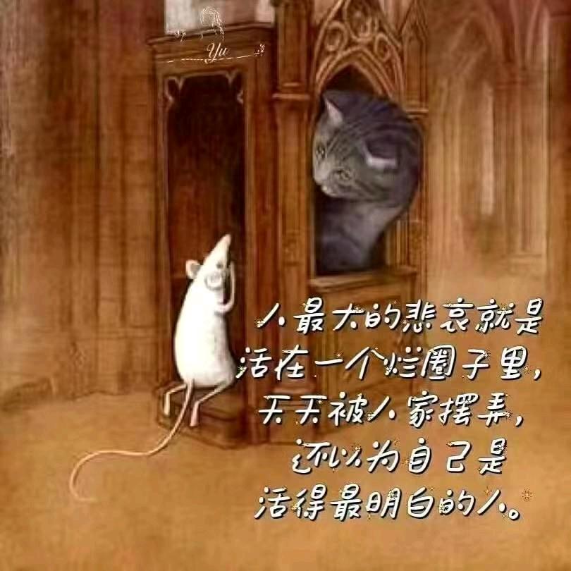 骑着火箭逛街18249316555