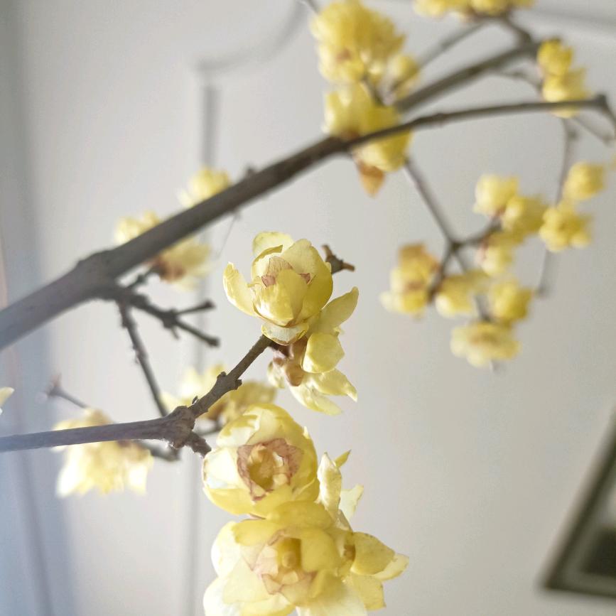 取个名字好难啊