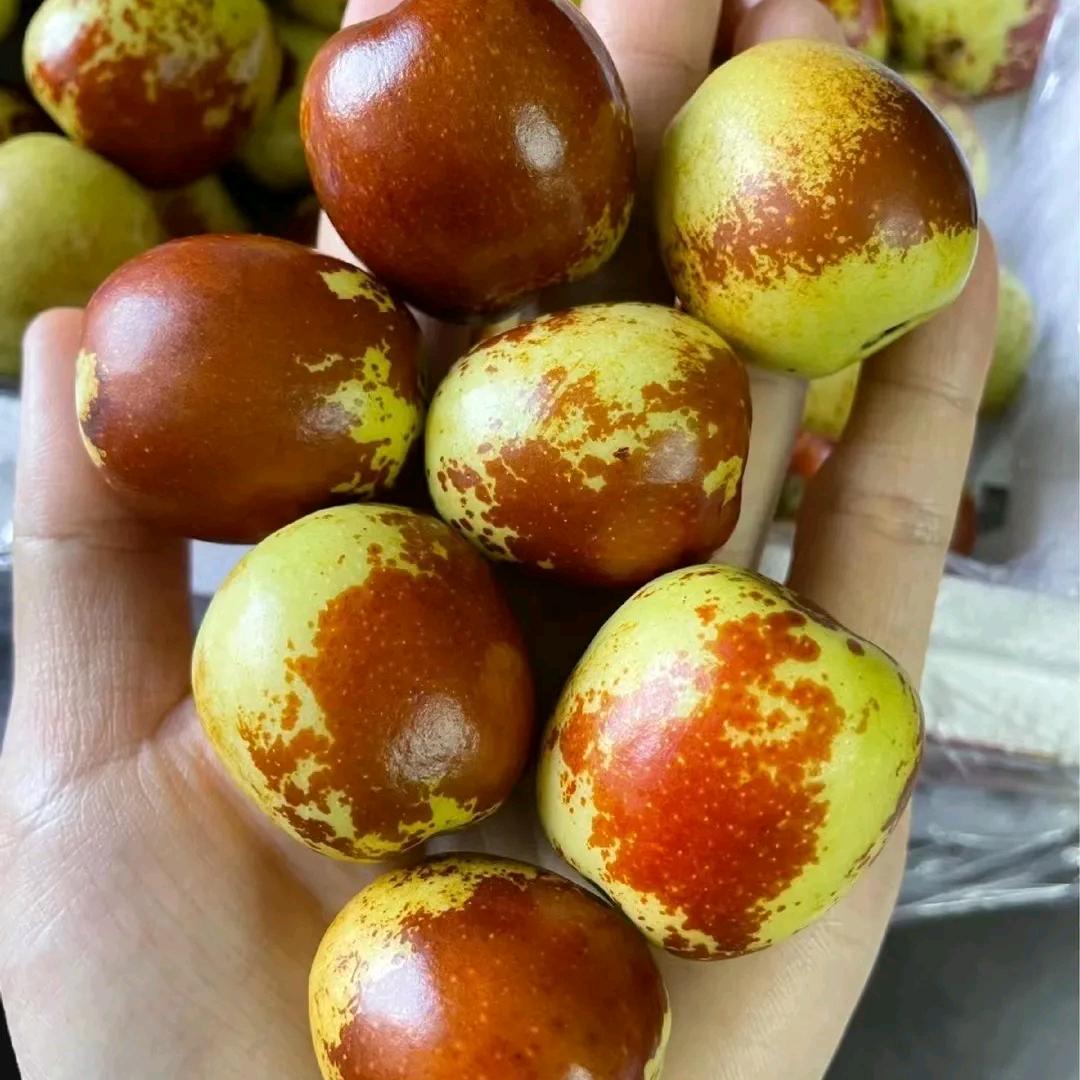 春春鲜果
