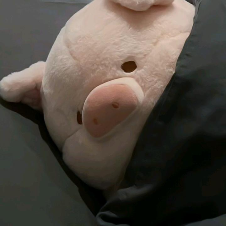 @ℳ白小白ృ༊⁵²⁰