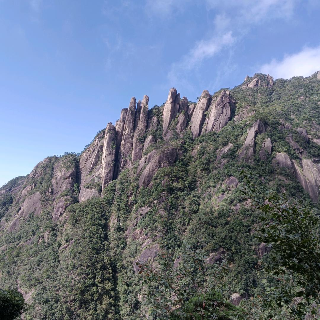 飞-你莫属