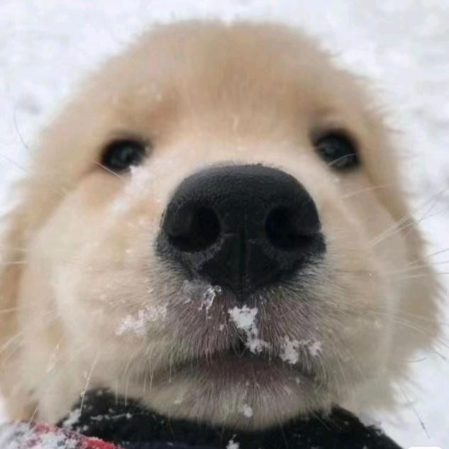 Aaaaaaaa.茄子供应商