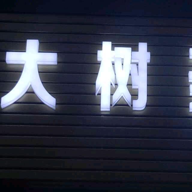 大树→