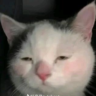 上善若水