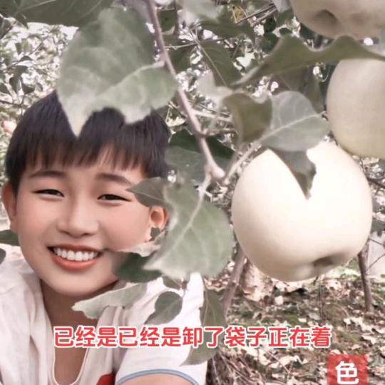 胡文朝