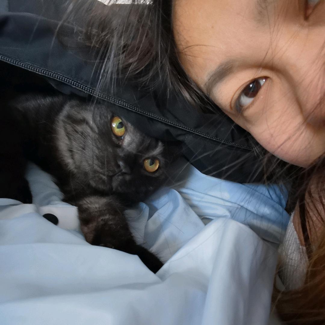 是佳顺ya(努力挣猫粮版)