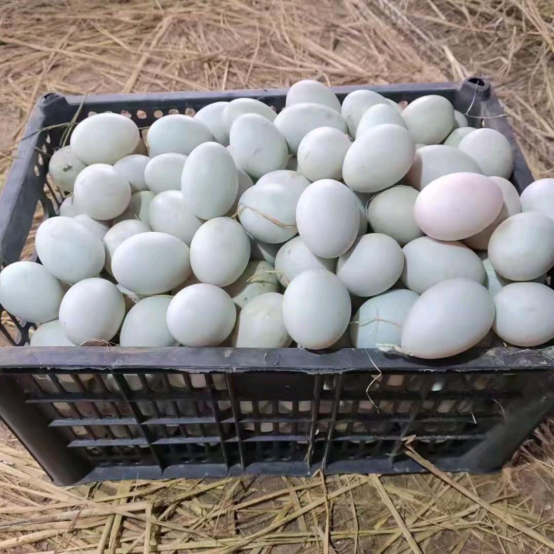 王    辉