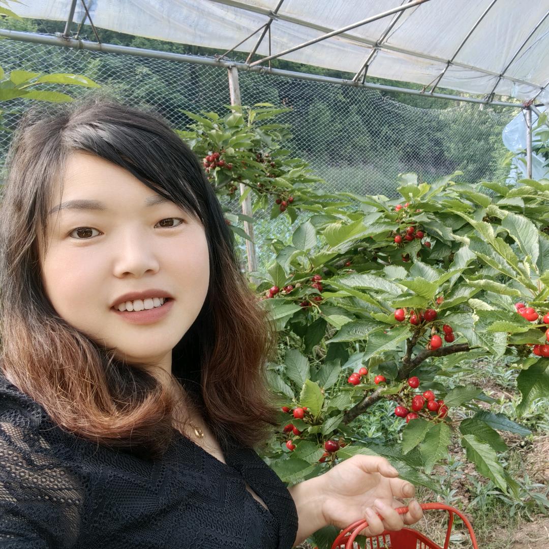 青青草，