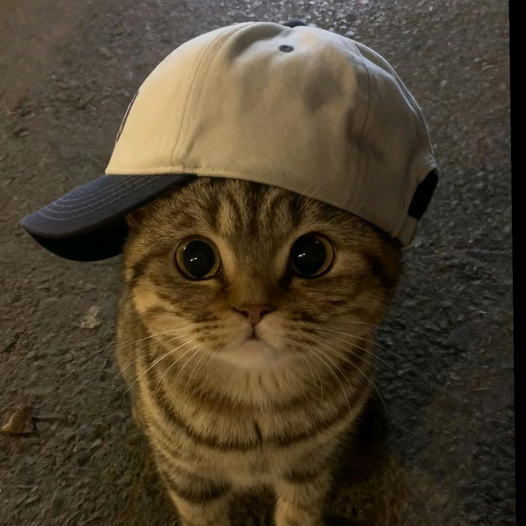Hang