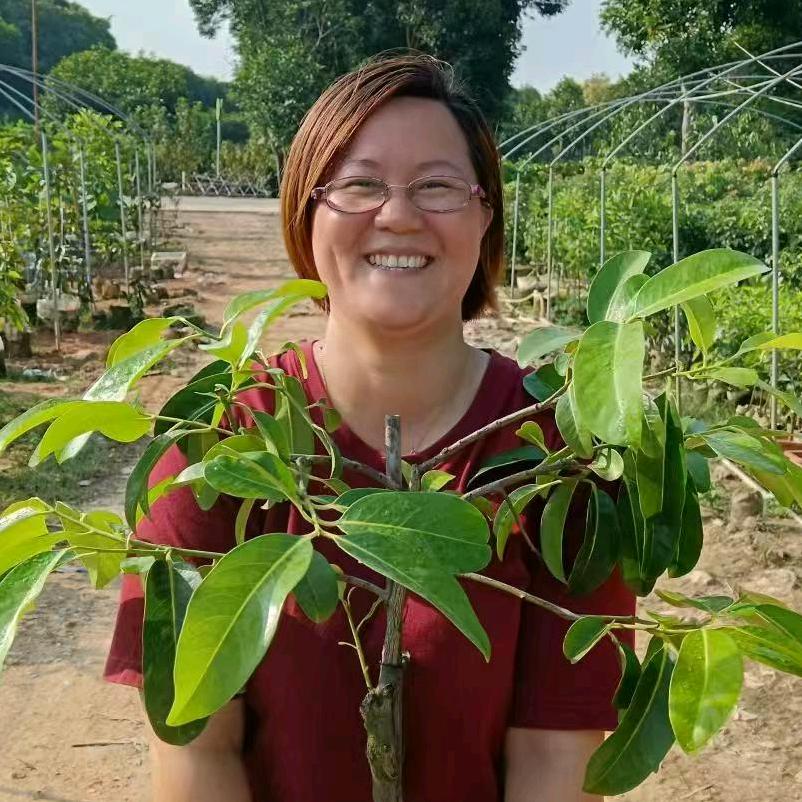 百年恒坑果姐果苗基地