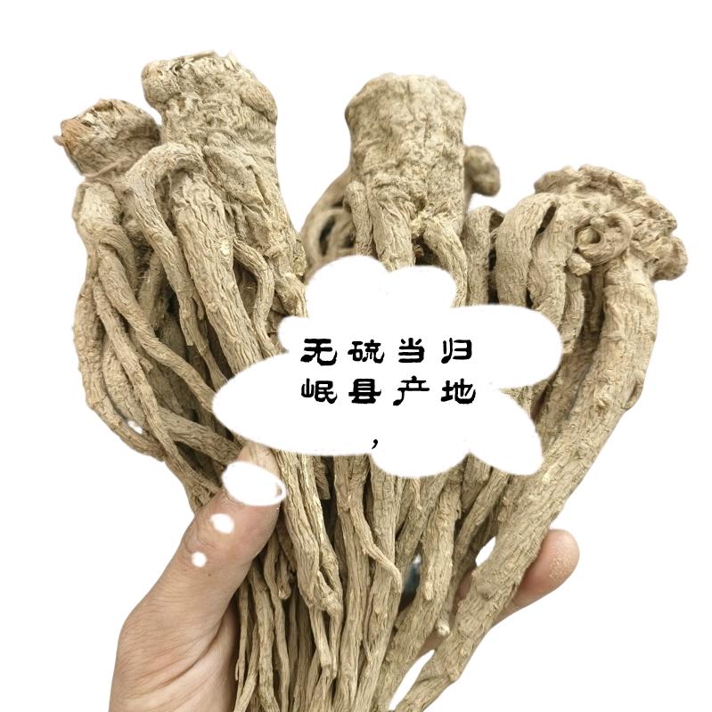 小小药农甘肃岷当归