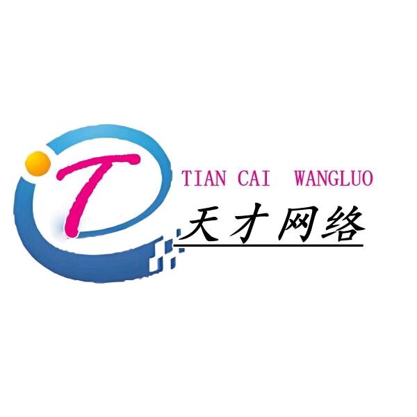 天才网络