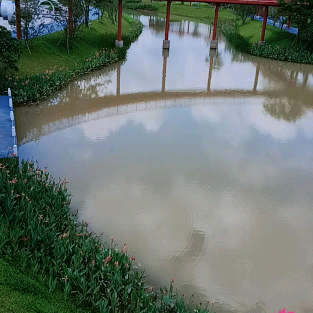 找不💖到幸福