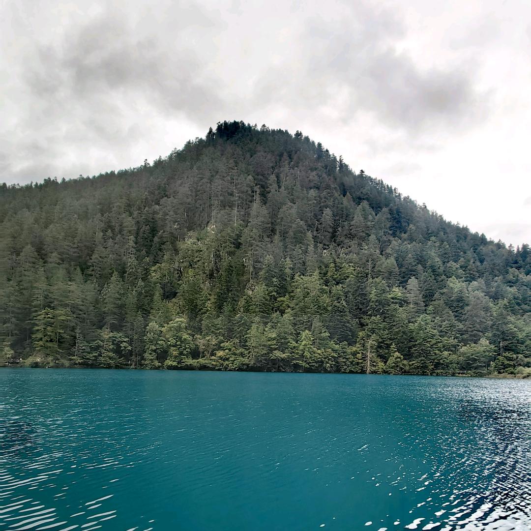 扬帆起航（金诺）