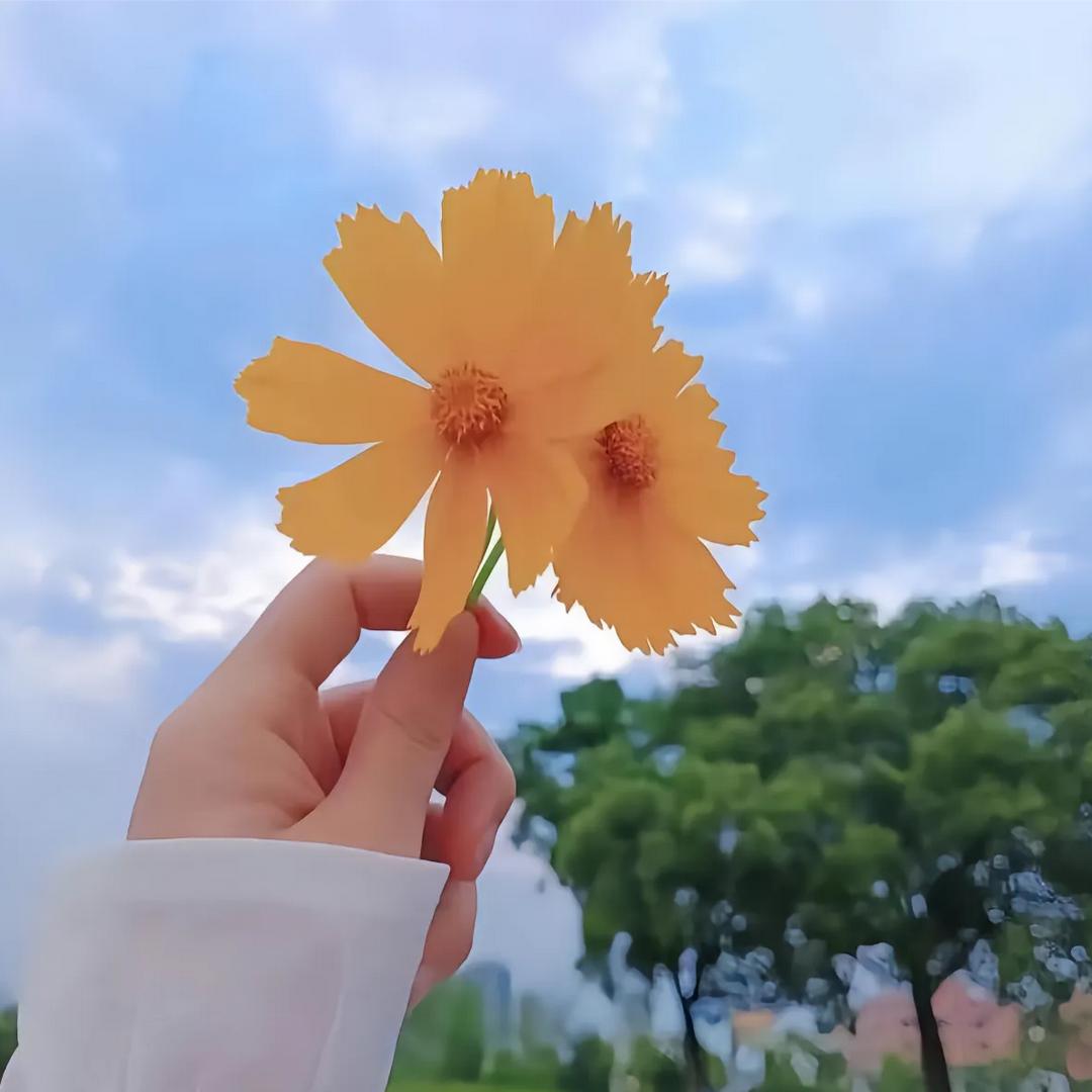 づ♡ど倩