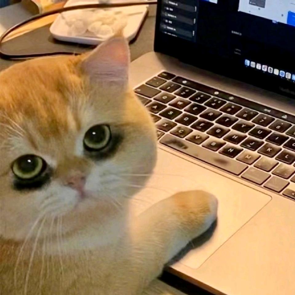 路舟艺（阳光-鬱的狗版）