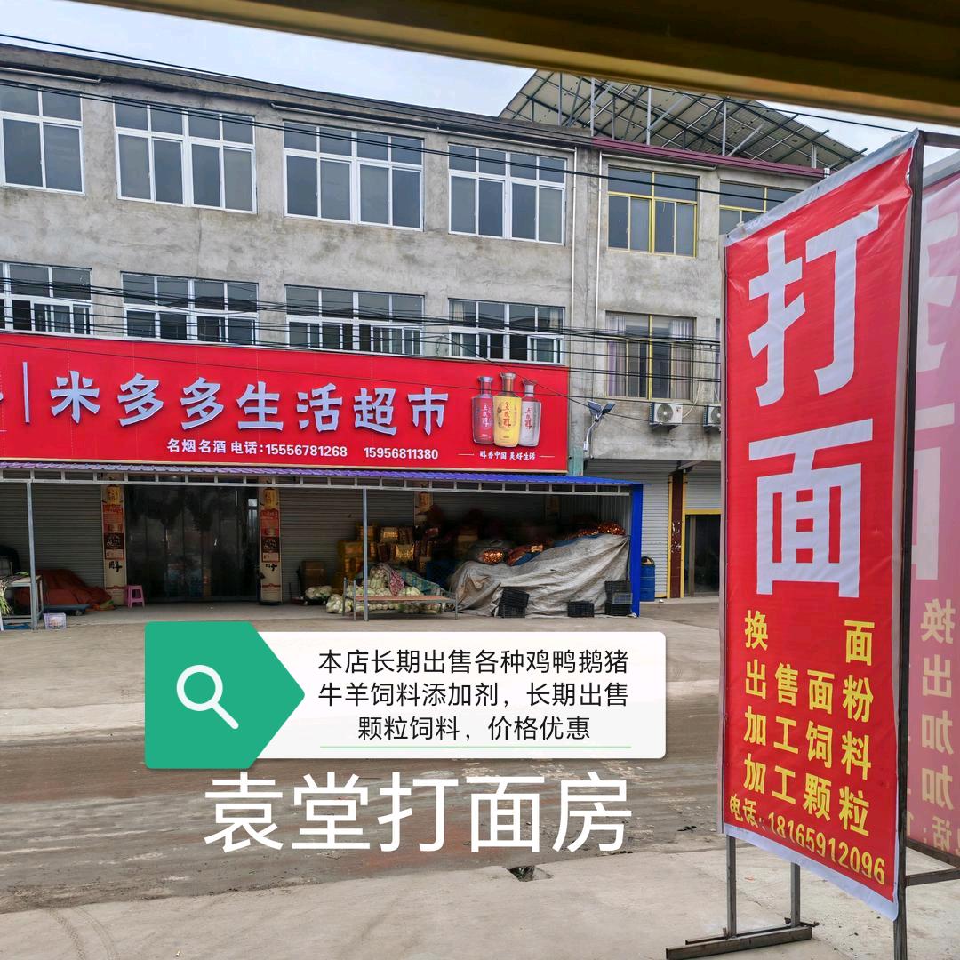老王不老