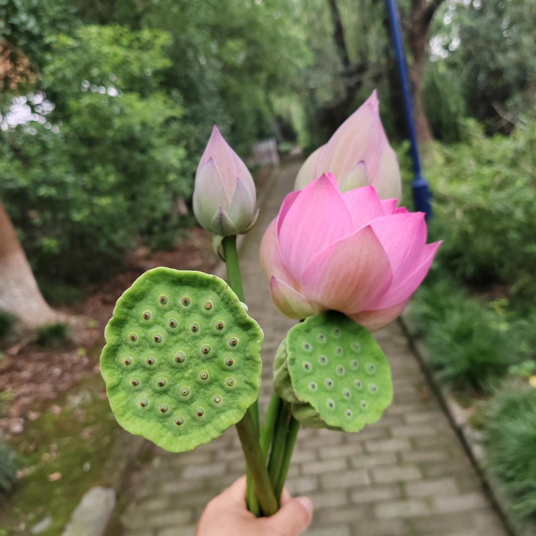 期盼