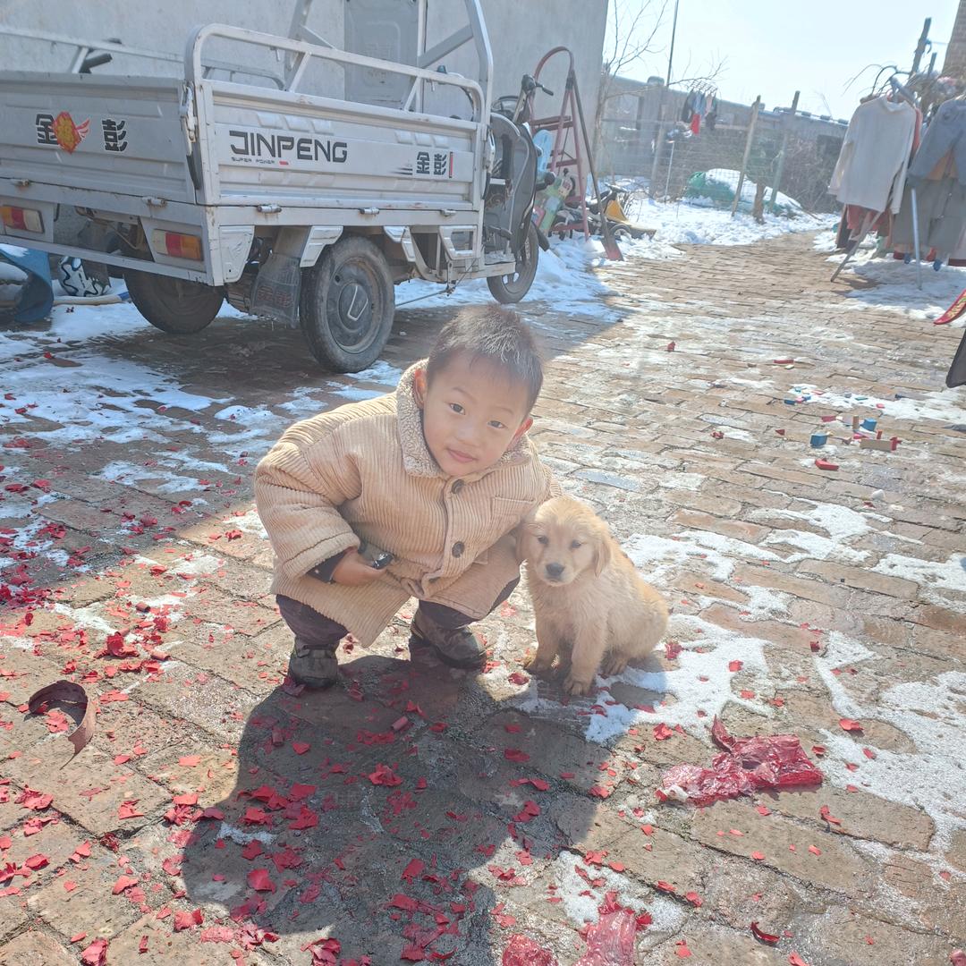 🕊💞ღ᭄小幸运