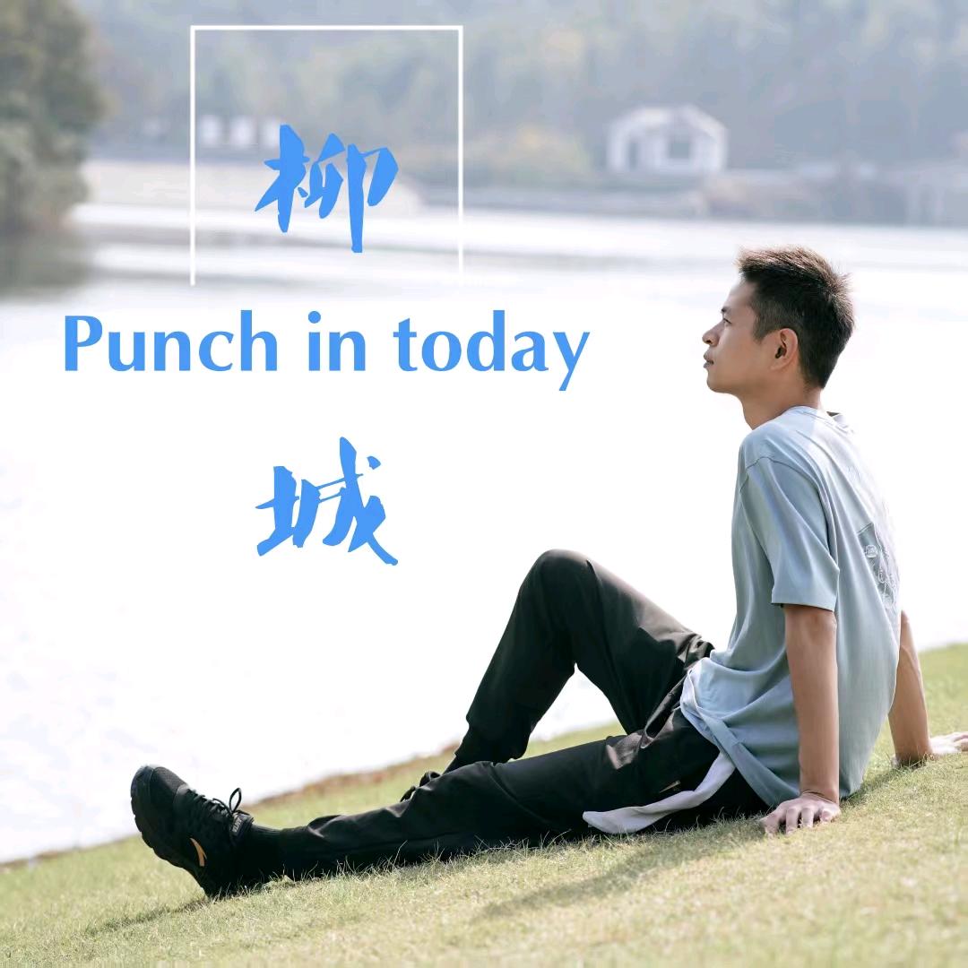 潇潇暮雨柳城