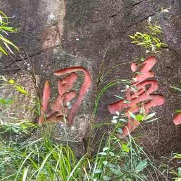 圆恒